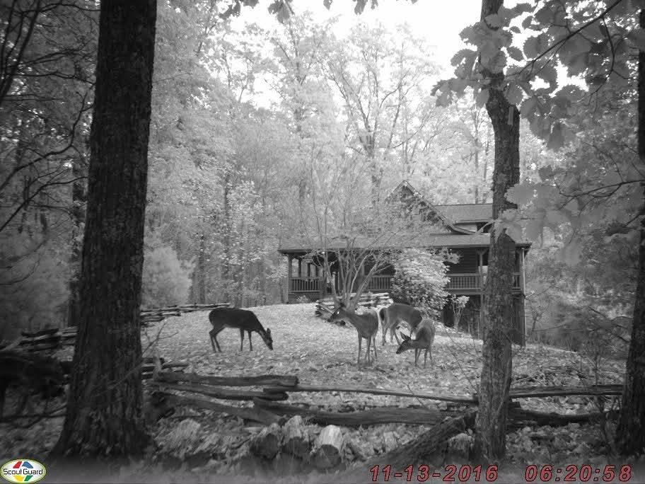 16 Enchanting Circle Morganton, GA 30560 - Photo 45 of 57 a view of outdoor space