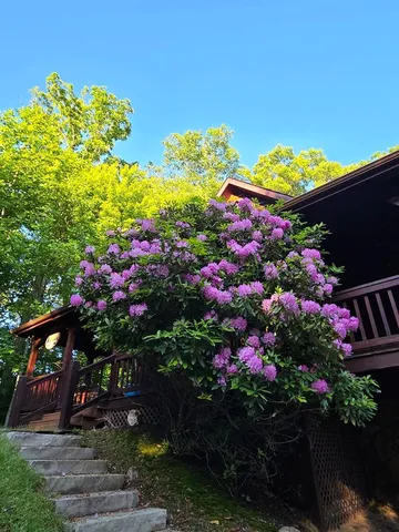 a view of a backyard with sitting area