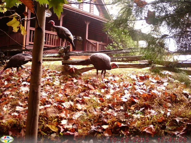 $699,900 | 16 Enchanting Circle, Morganton, GA 30560