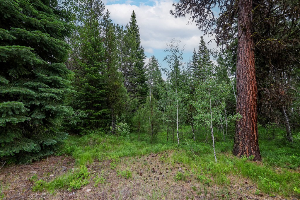 431 Timbercrest Loop, Unit 4 McCall, ID 83638 - Photo 5 of 28