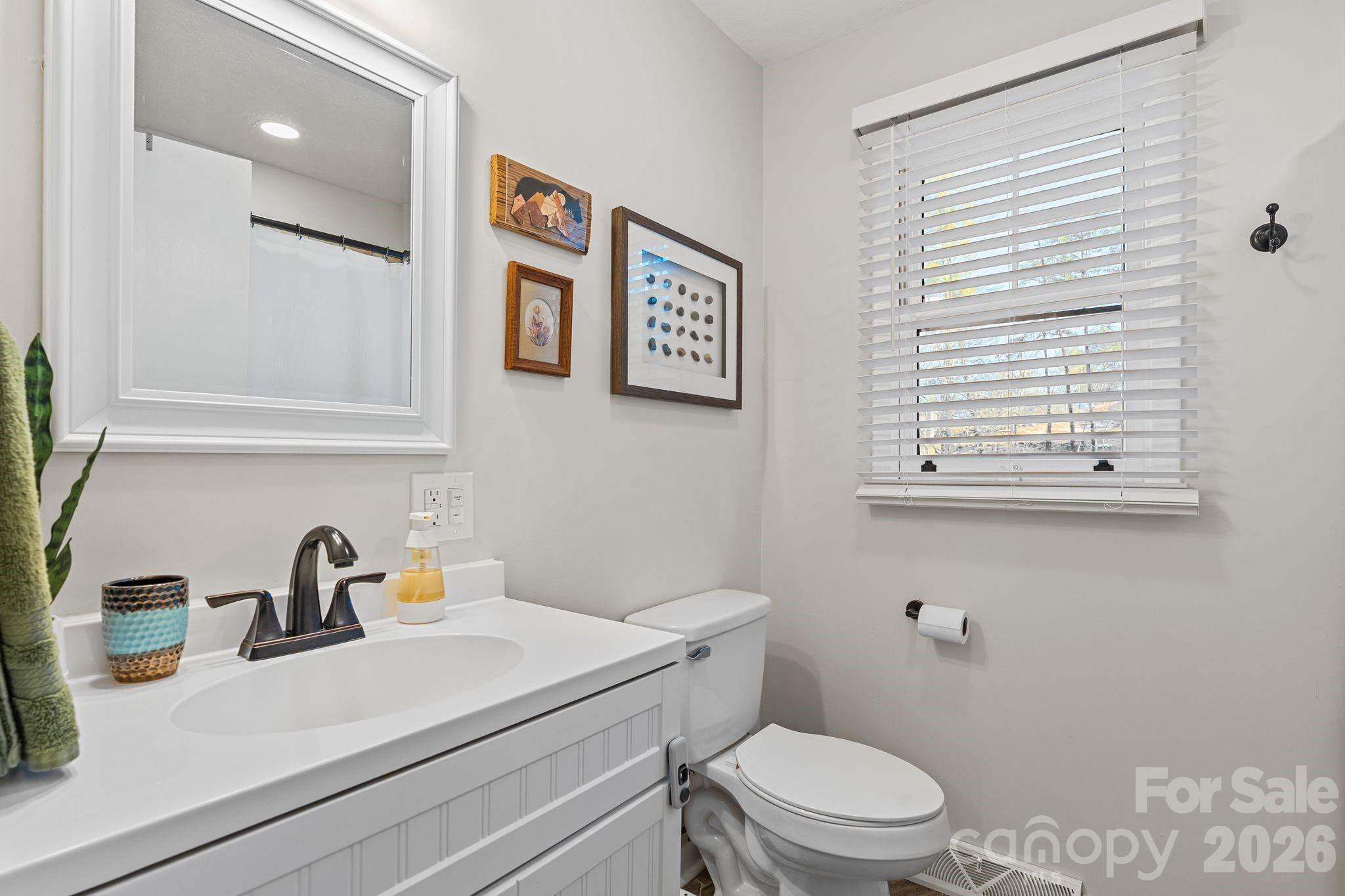 1348 Jenkins Valley Road Alexander, NC 28701 - Photo 19 of 44 a bathroom with a sink a toilet and a window