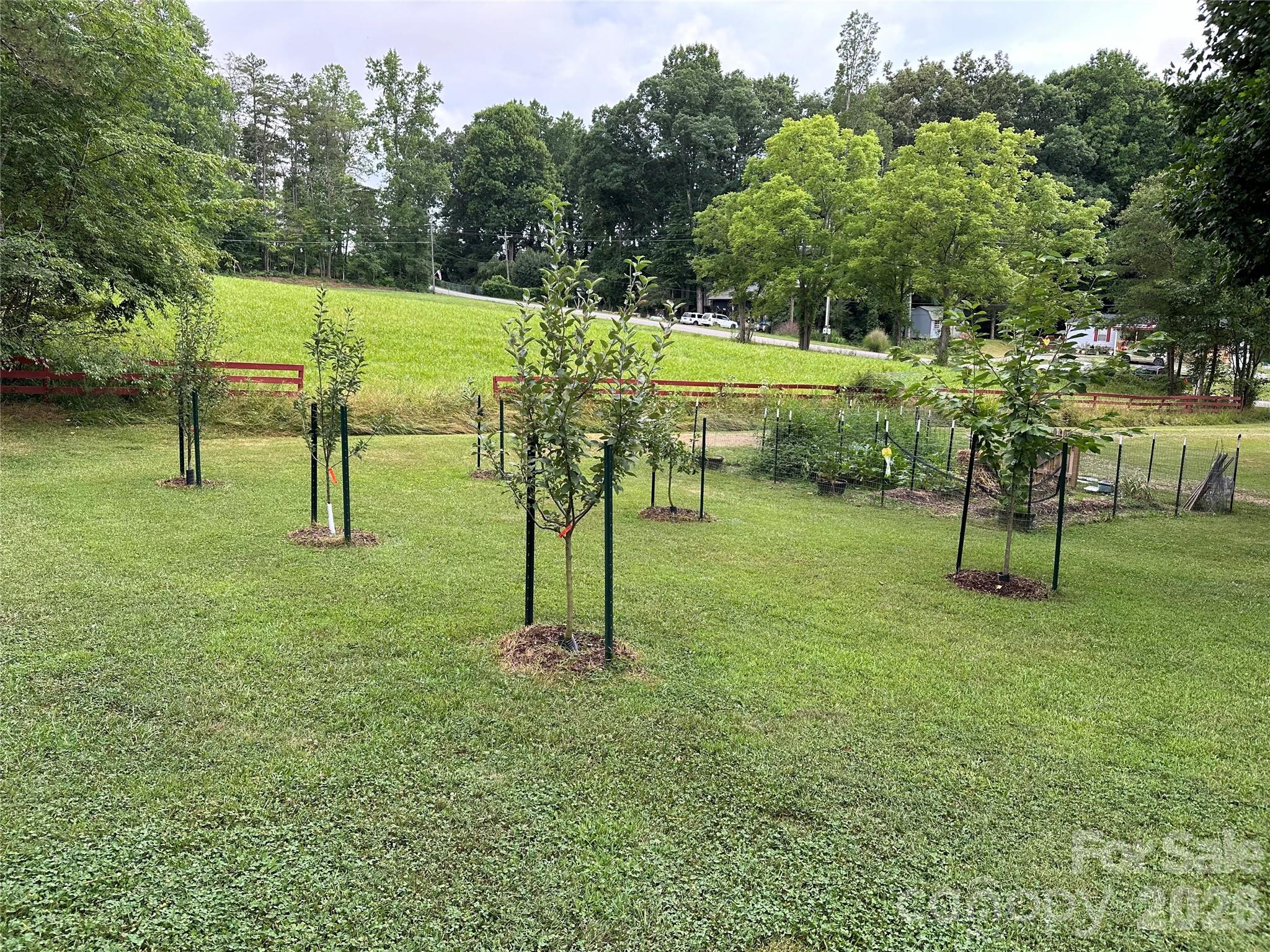 1348 Jenkins Valley Road Alexander, NC 28701 - Photo 39 of 44 a view of a park