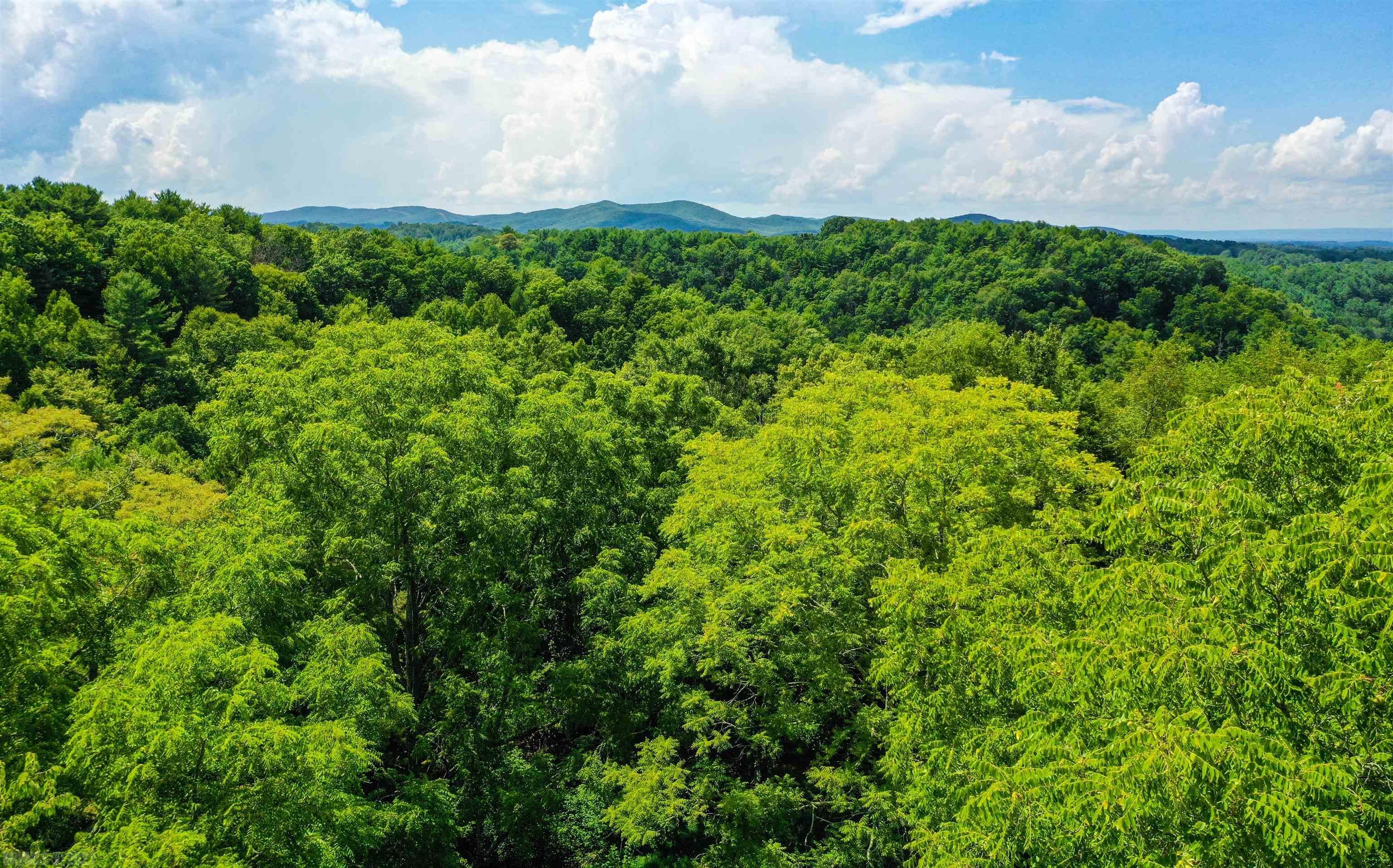 Tbd 68.5-ac Tbd 68.5-ac Berryhill Road Riner, VA 24149 - Photo 2 of 25 Gallery Image 2
