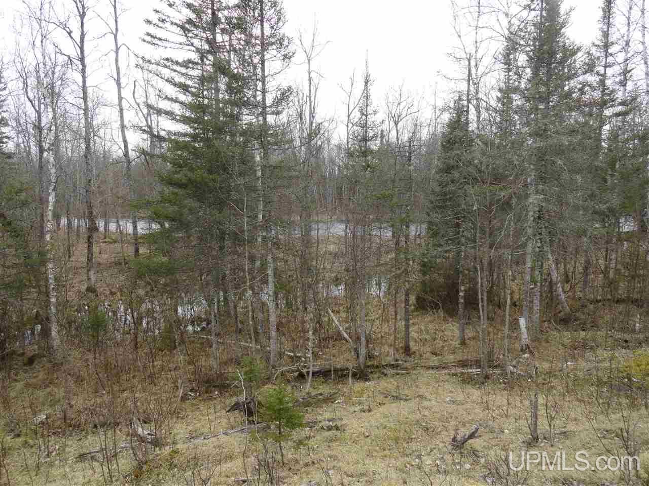 44-acres Ford River Road Arnold, MI 49831 - Photo 19 of 36