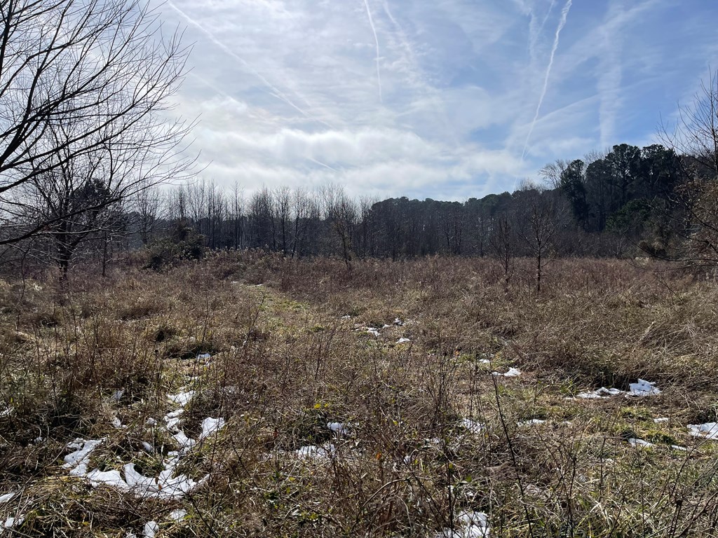 3.65 Old Neck Road, Unit 1 Weems, VA 22576 - Photo 3 of 35