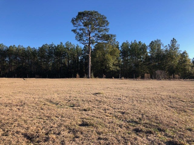 15-ac Cravey Bridge Road Florala, AL 36442 - Photo 5 of 16 Gallery Image 5
