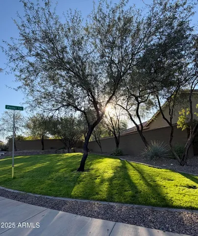 a view of a backyard with large trees
