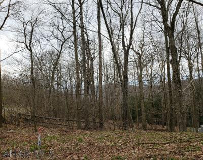 193 L Ridge Run Road Everett, PA 15537 - Photo 3 of 6
