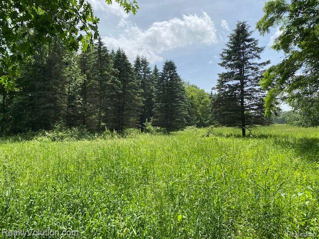 70-acres Hoyt Road Ionia, MI 48846 - Photo 5 of 9 Gallery Image 5