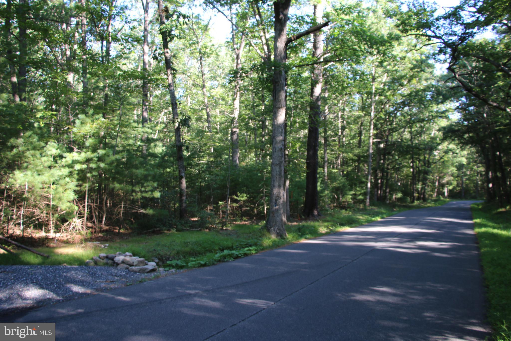 Alum Springs Road Basye, VA 22810 - Photo 22 of 63 a view of a road with a trees