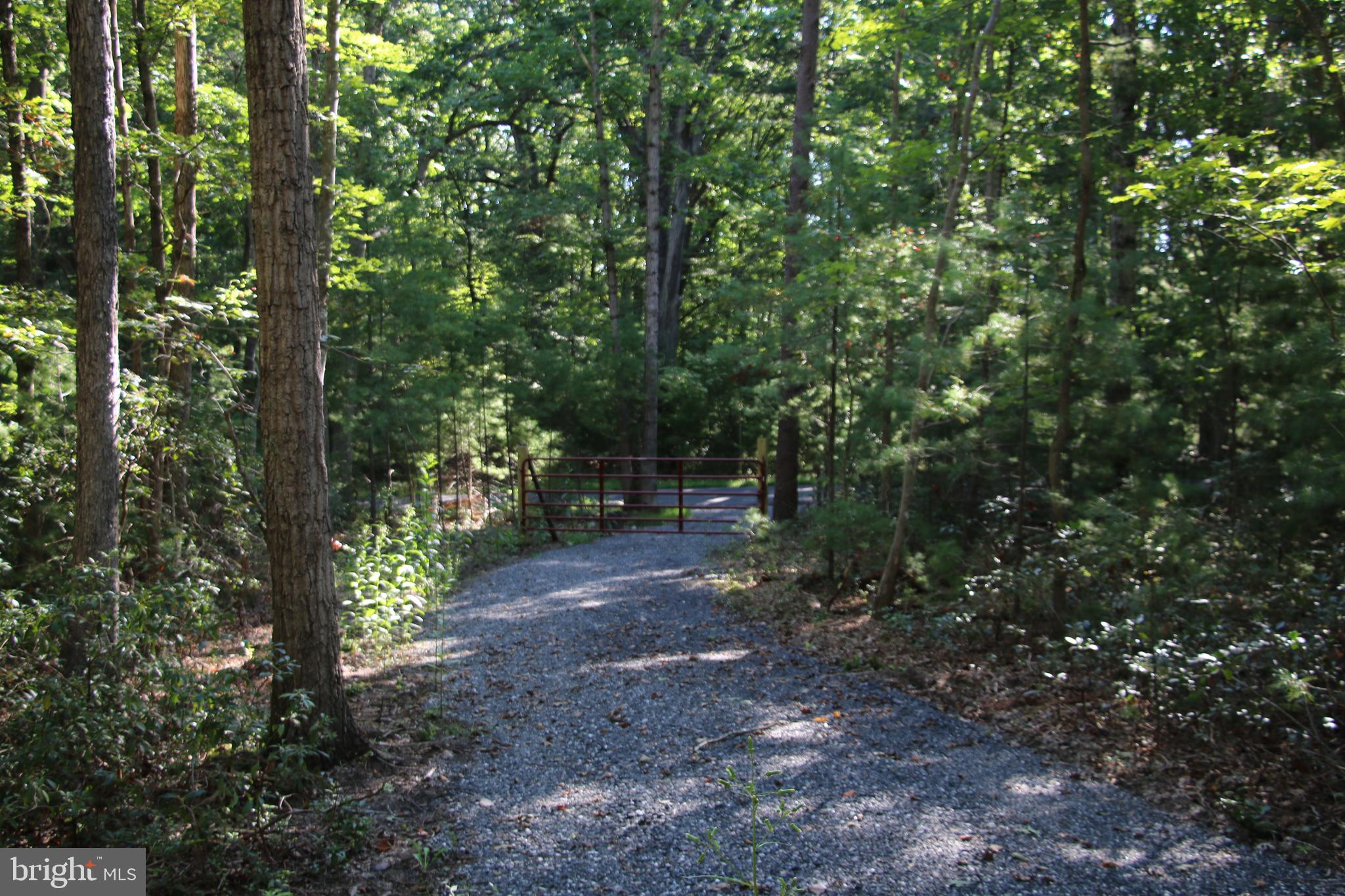 Alum Springs Road Basye, VA 22810 - Photo 24 of 63 a view of a forest with trees in the background