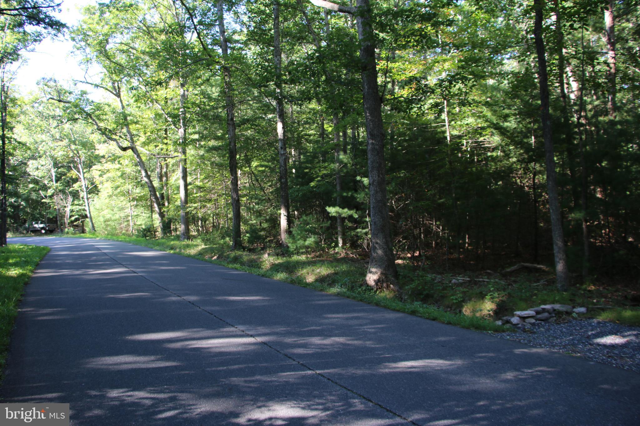 Alum Springs Road Basye, VA 22810 - Photo 25 of 63 a view of a yard with plants and trees