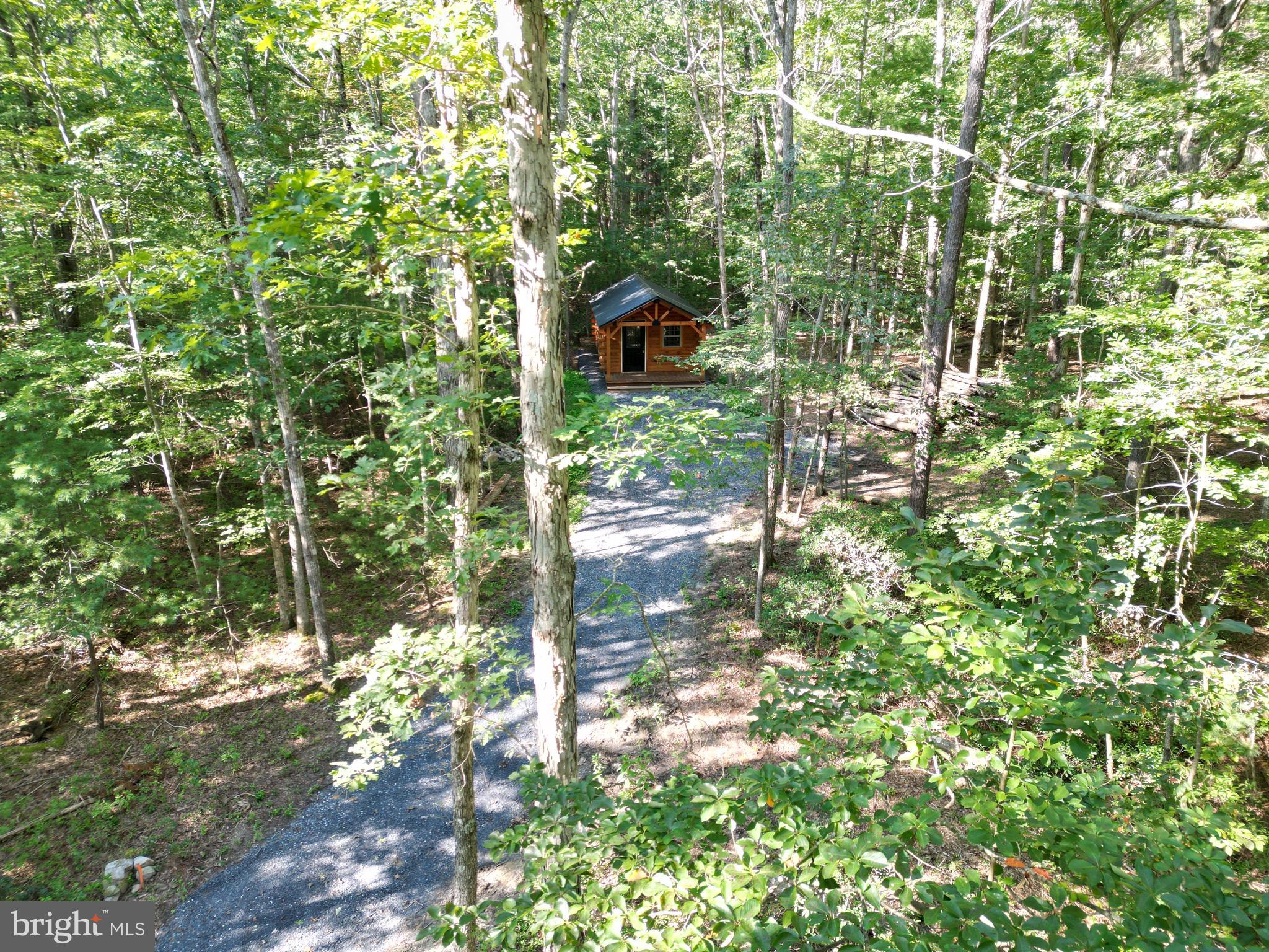 Alum Springs Road Basye, VA 22810 - Photo 26 of 63 a view of yard
