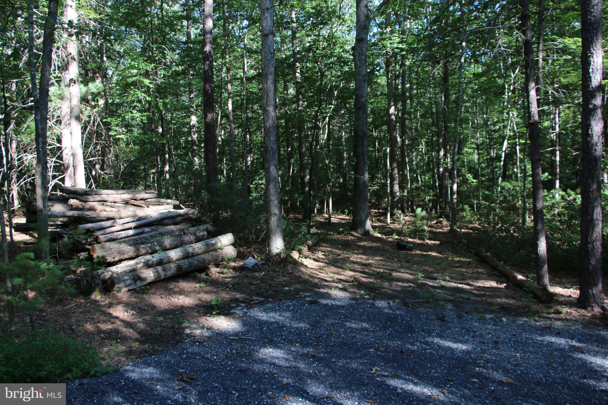 Alum Springs Road Basye, VA 22810 - Photo 27 of 63 a view of a forest with trees