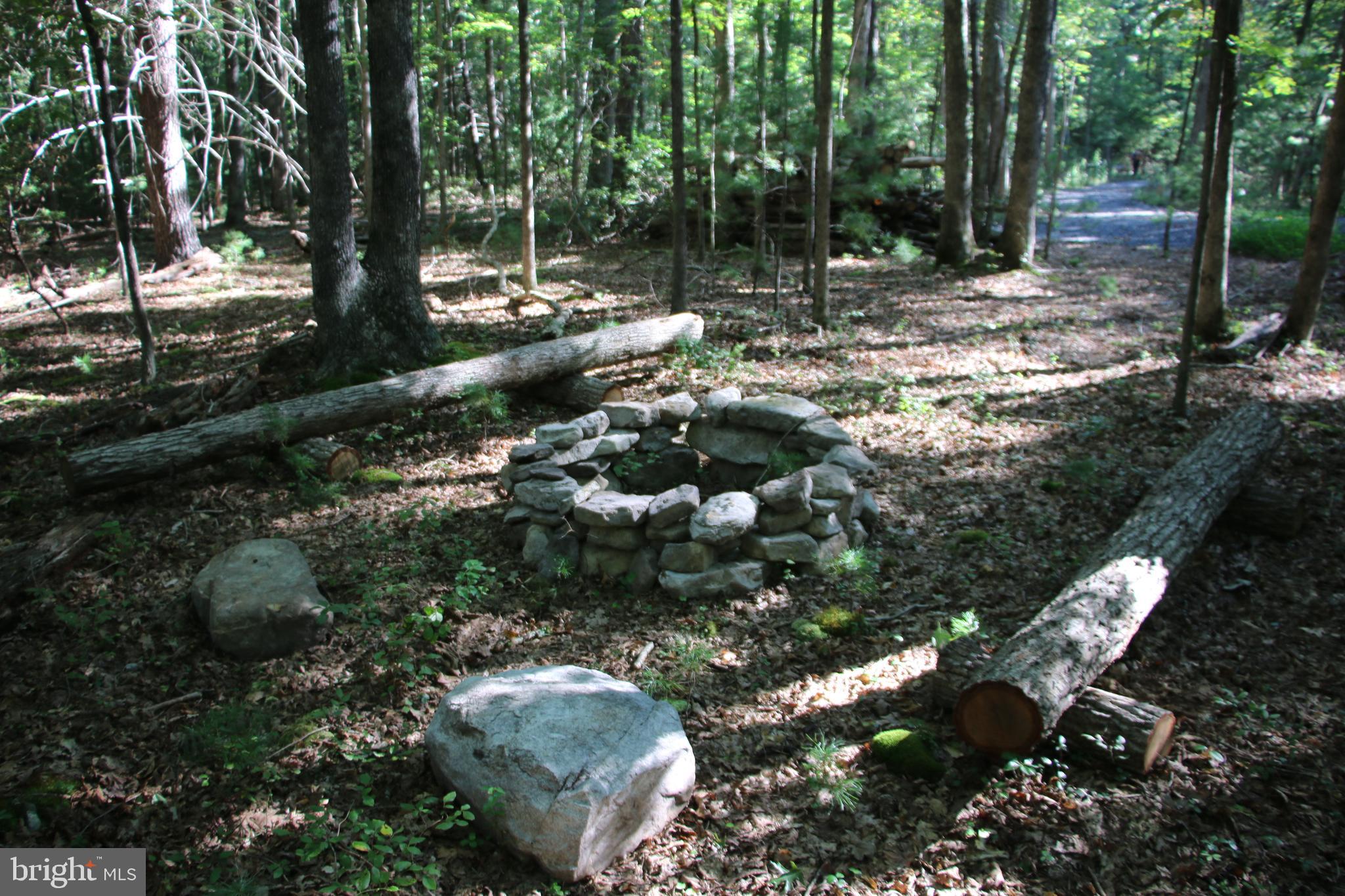 Alum Springs Road Basye, VA 22810 - Photo 29 of 63 a view of lake with tree