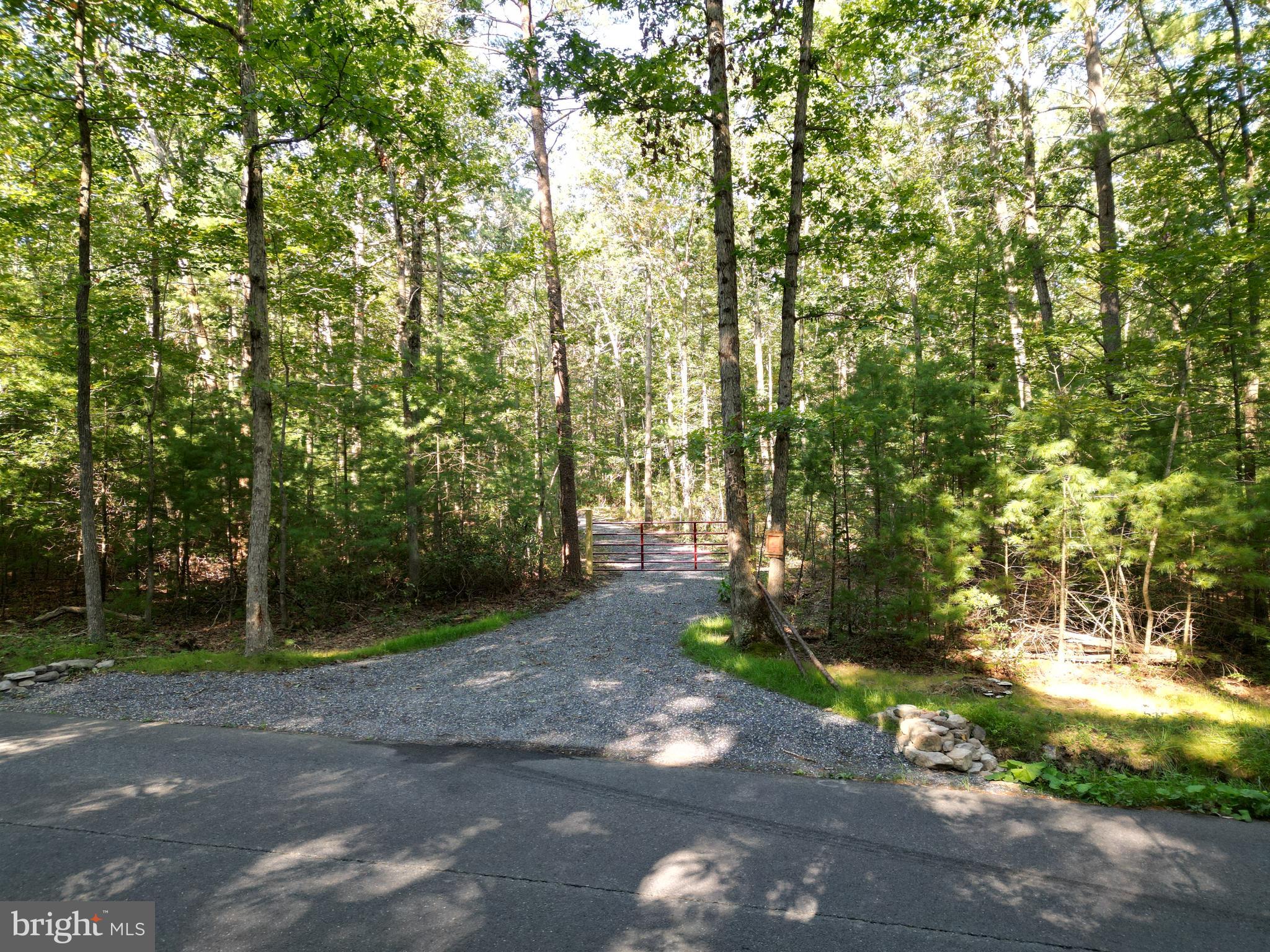 Alum Springs Road Basye, VA 22810 - Photo 33 of 63 a view of outdoor space and yard