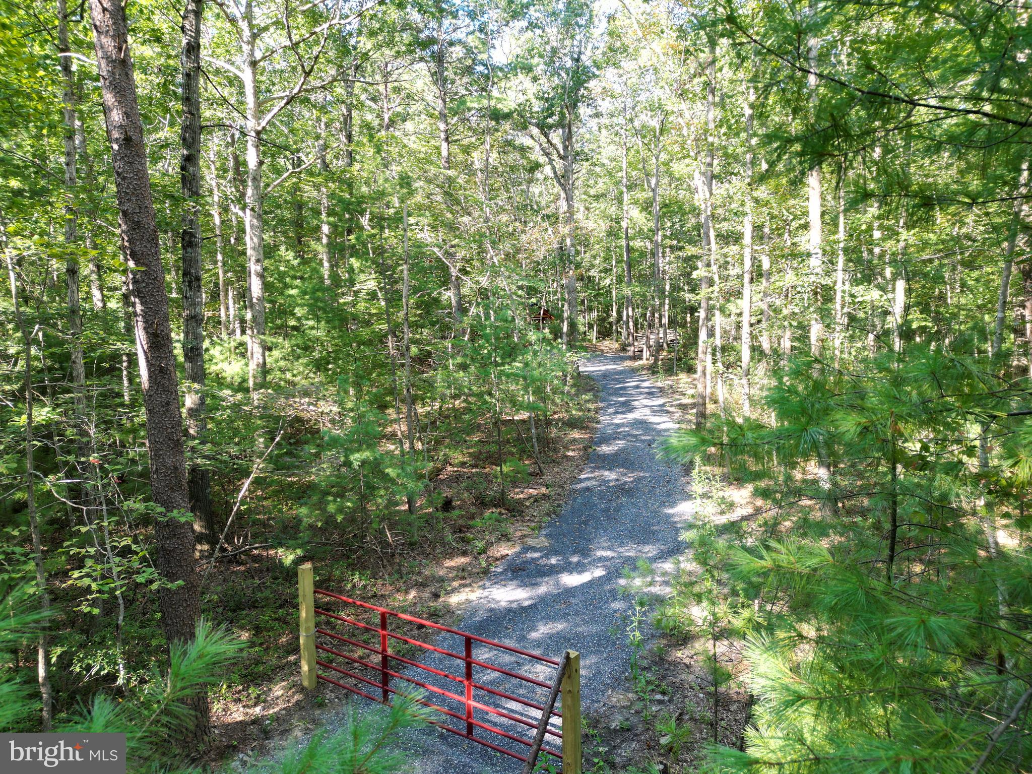 Alum Springs Road Basye, VA 22810 - Photo 34 of 63