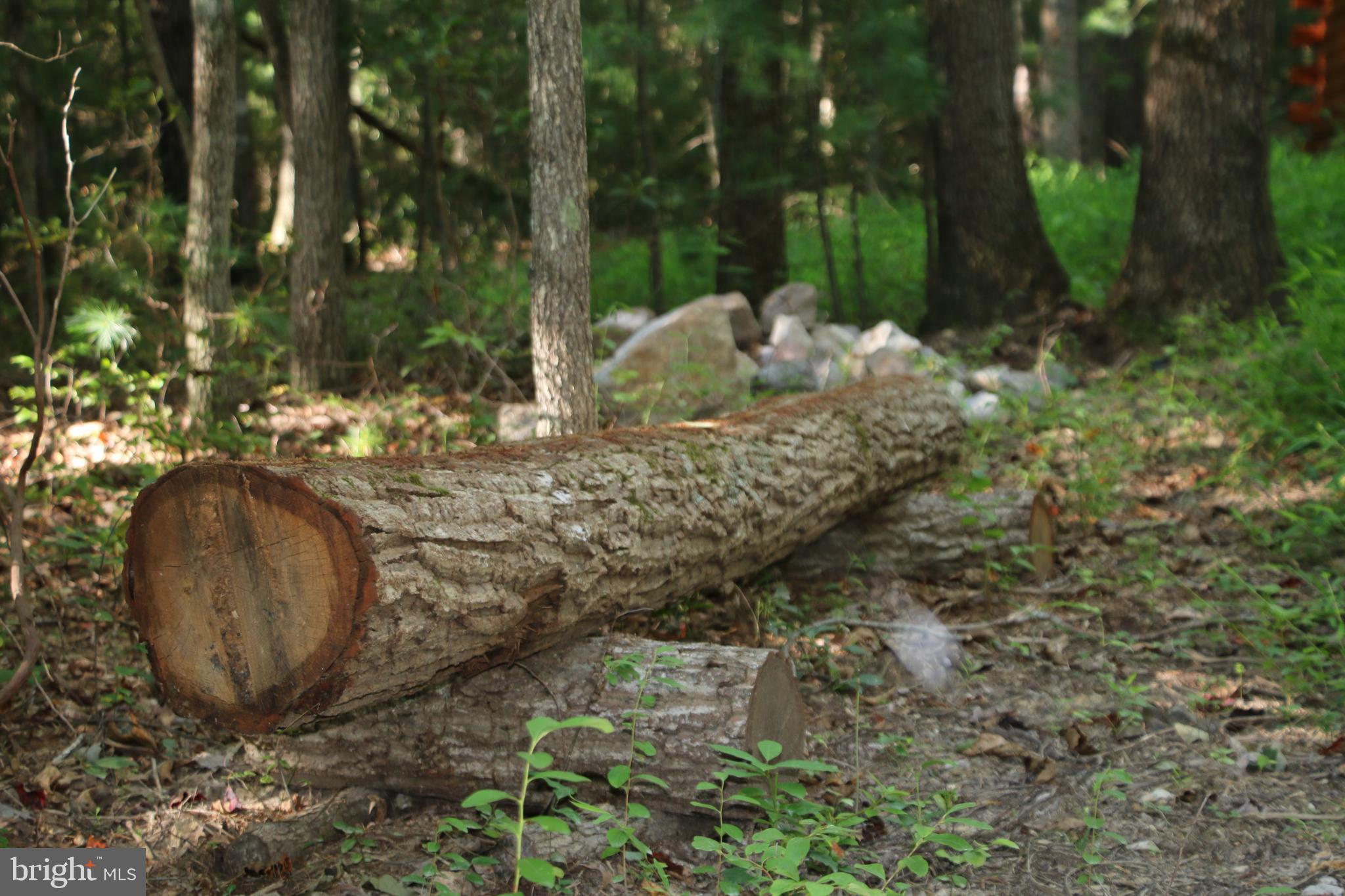 Alum Springs Road Basye, VA 22810 - Photo 35 of 63 a view of a backyard