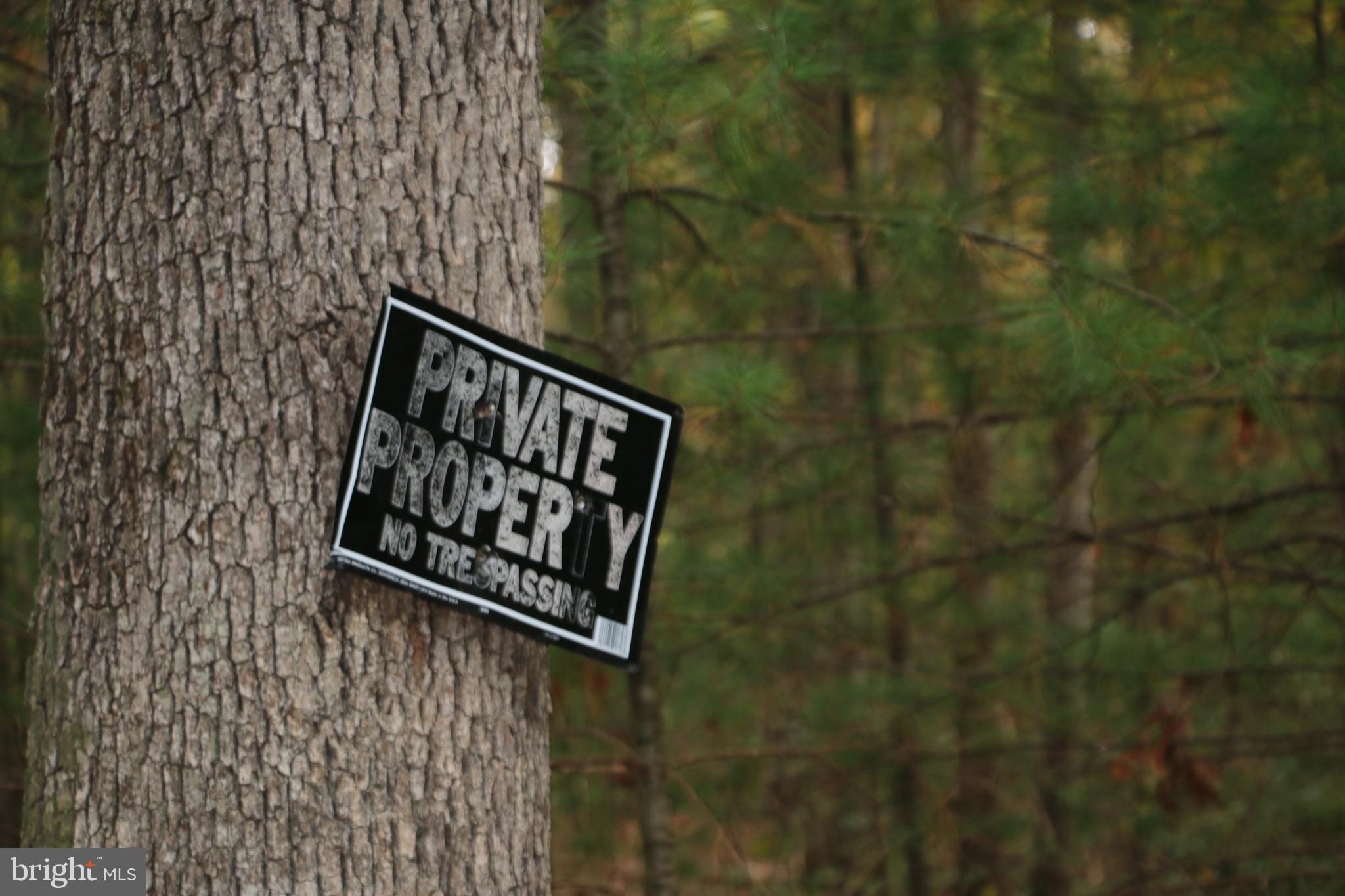 Alum Springs Road Basye, VA 22810 - Photo 37 of 63