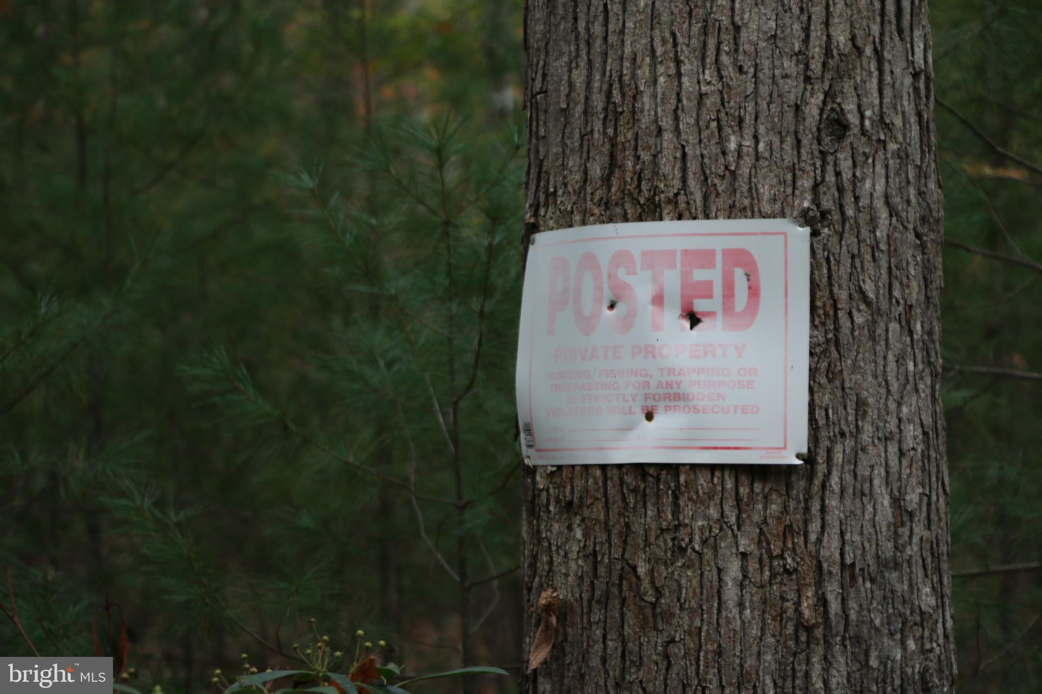 Alum Springs Road Basye, VA 22810 - Photo 39 of 63