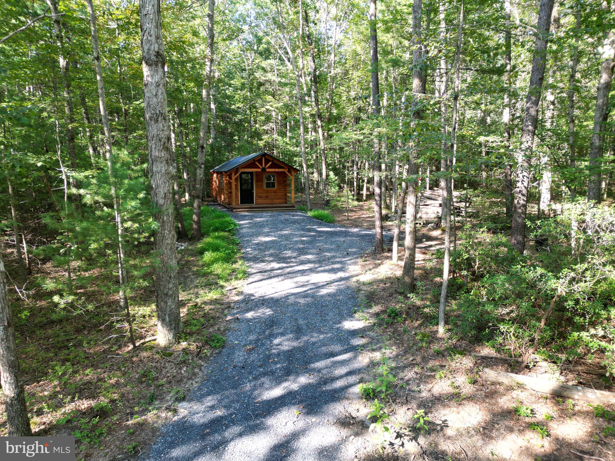 Alum Springs Road Basye, VA 22810 - Photo 4 of 63 a view of a tree in front of a small yard