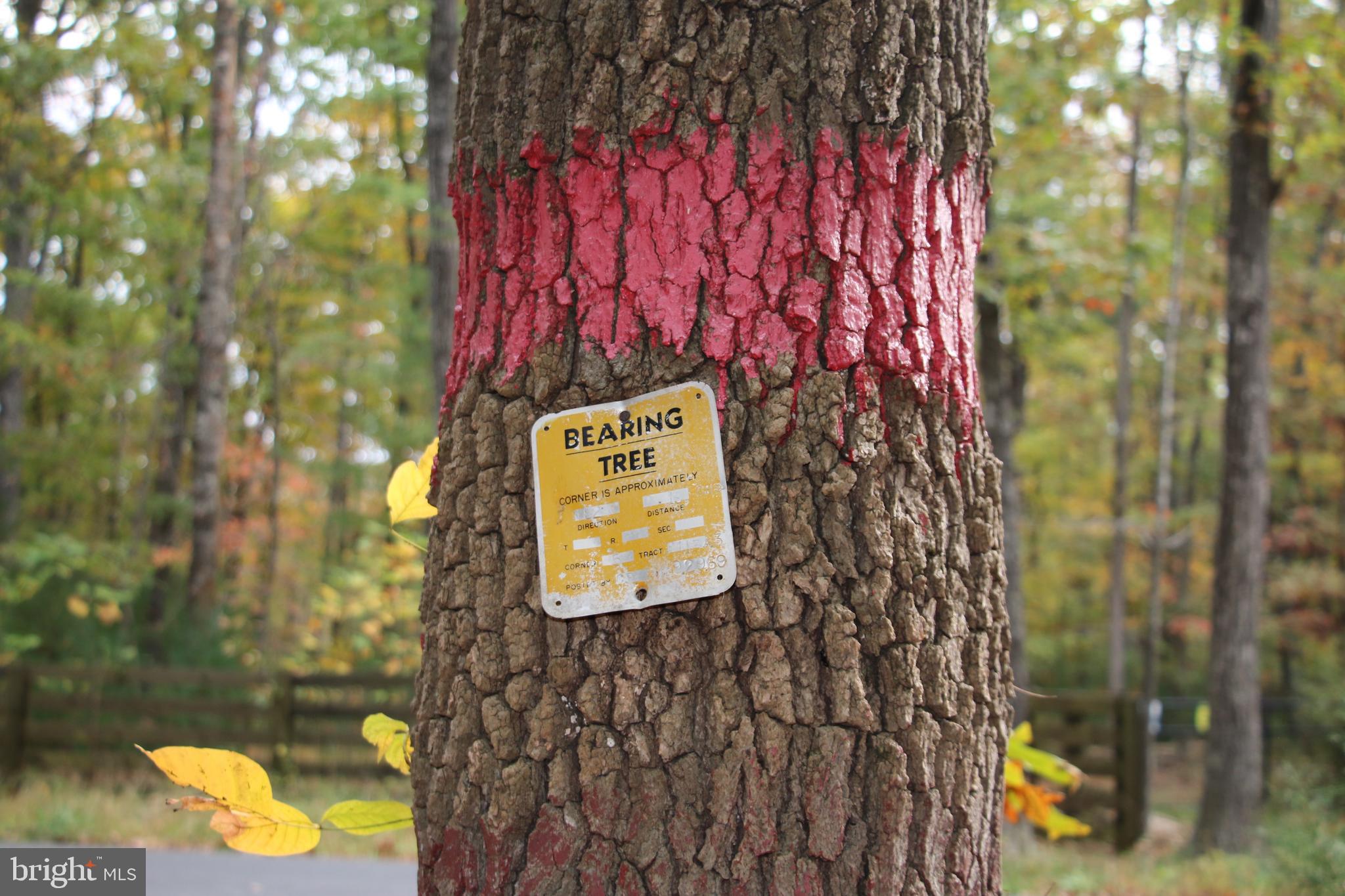 Alum Springs Road Basye, VA 22810 - Photo 41 of 63 a sign that is on a brick wall