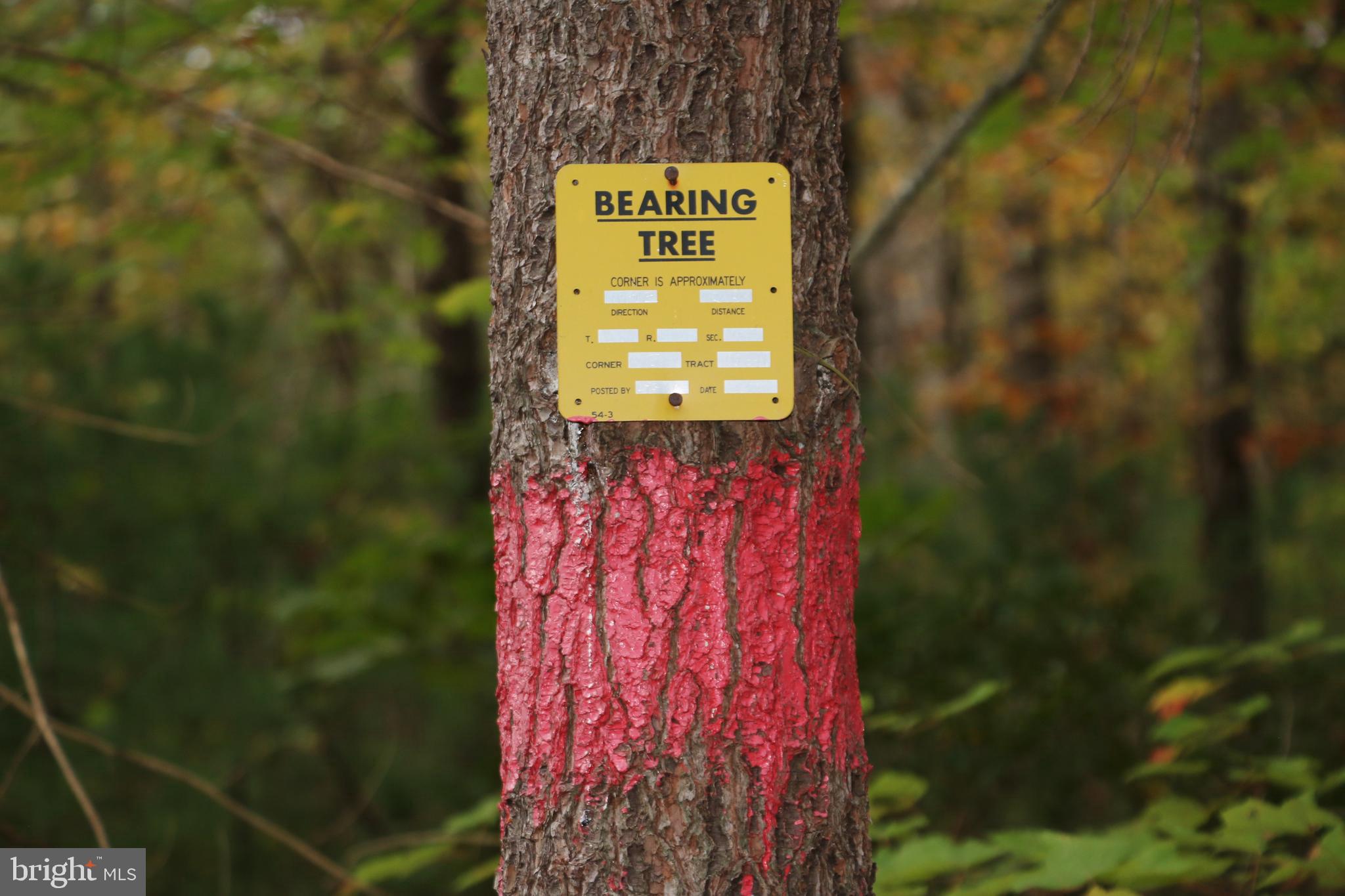 Alum Springs Road Basye, VA 22810 - Photo 43 of 63