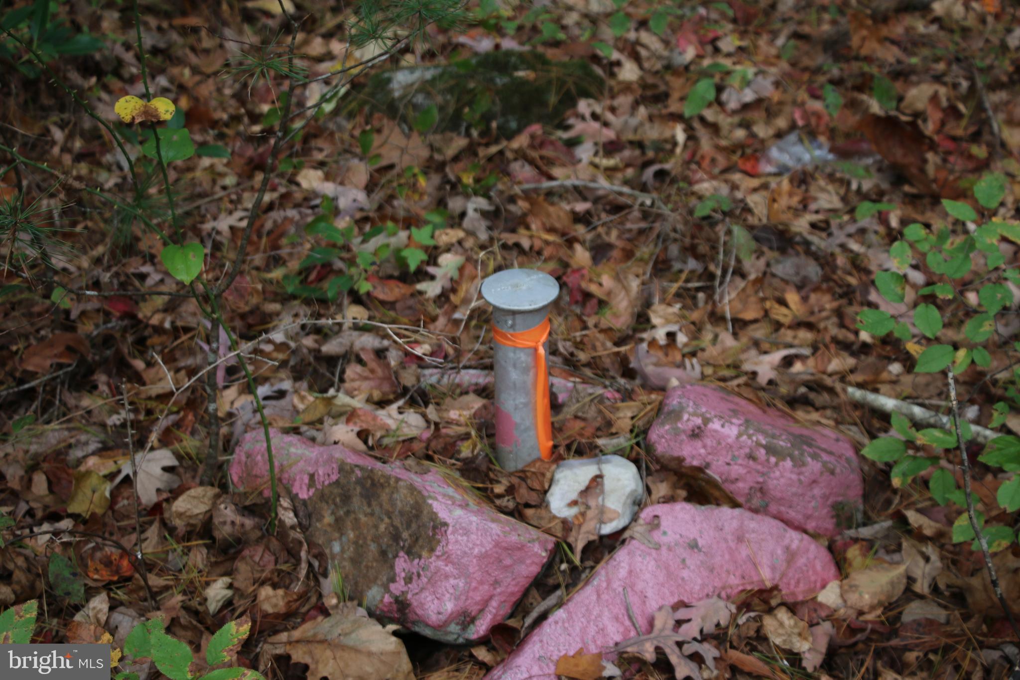 Alum Springs Road Basye, VA 22810 - Photo 45 of 63