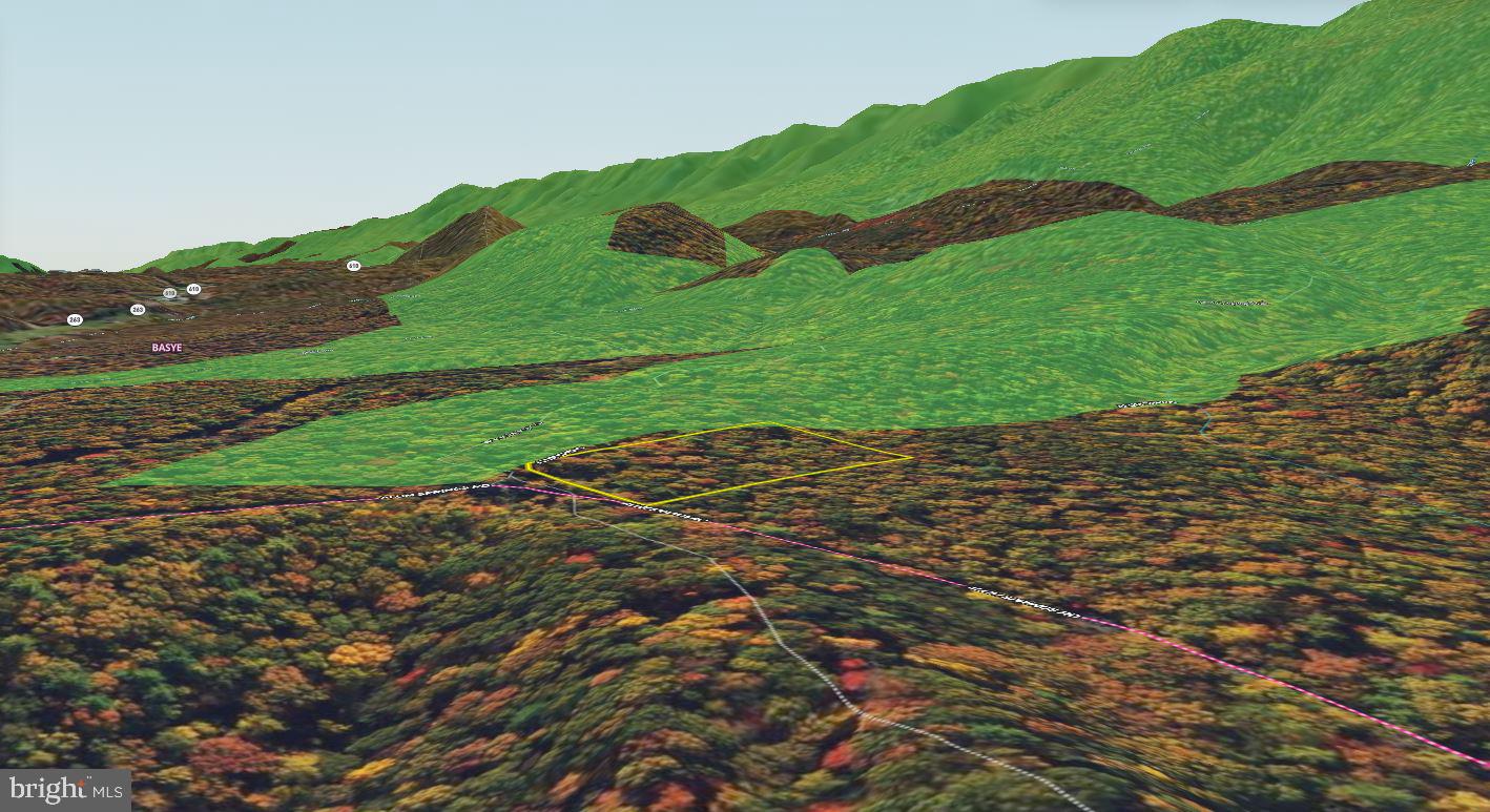 Alum Springs Road Basye, VA 22810 - Photo 60 of 63 a view of a street with a houses