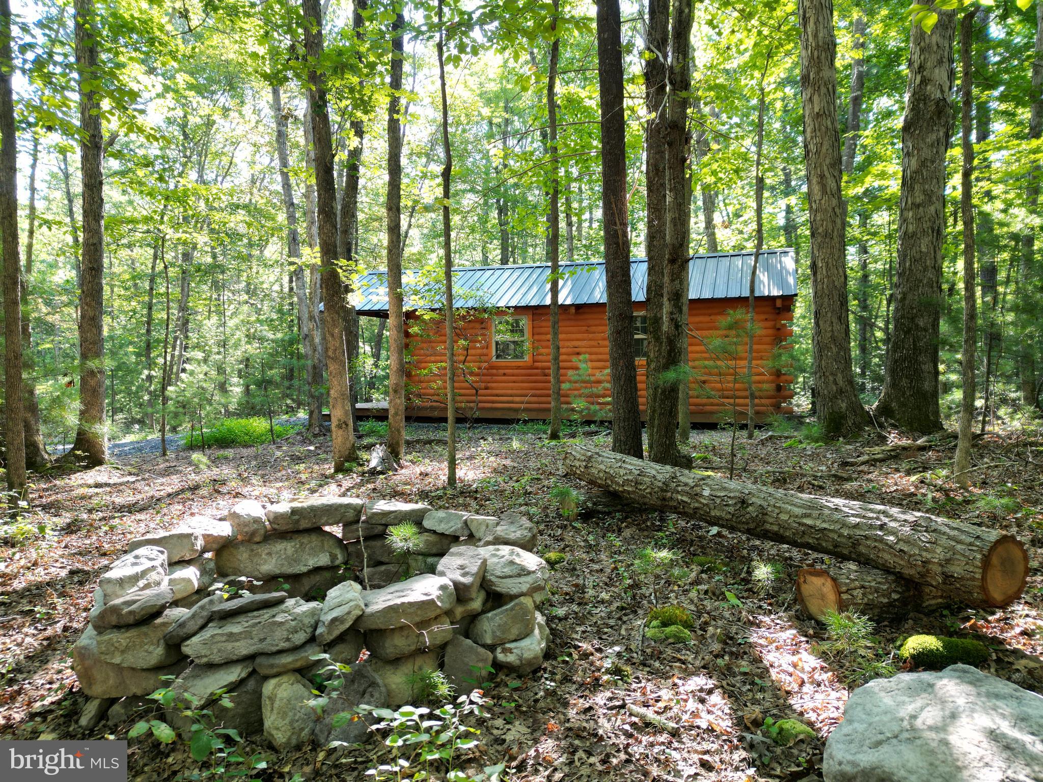 Alum Springs Road Basye, VA 22810 - Photo 6 of 63 a backyard of a house with lots of green space