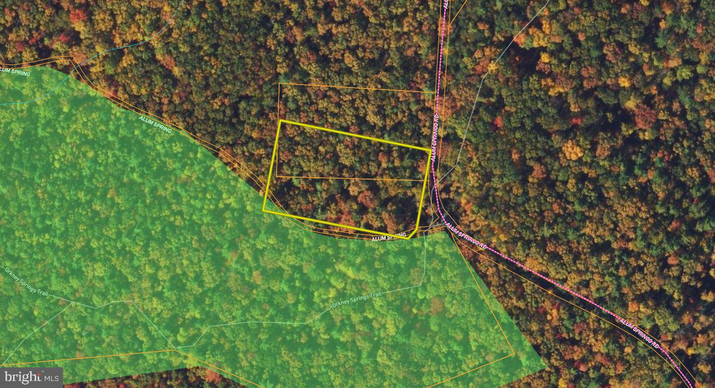 Alum Springs Road Basye, VA 22810 - Photo 61 of 63 a view of a yard with wooden fence