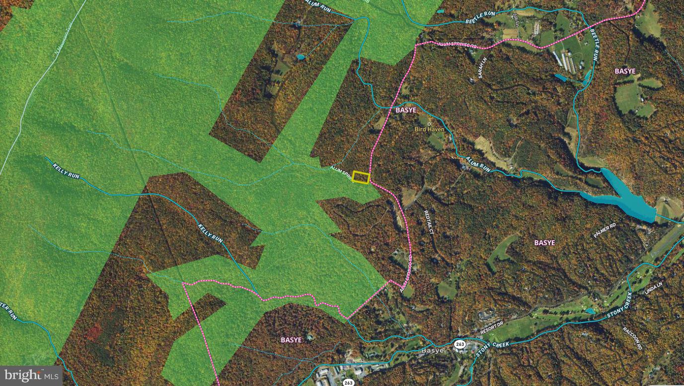 Alum Springs Road Basye, VA 22810 - Photo 62 of 63 a green field with lots of trees