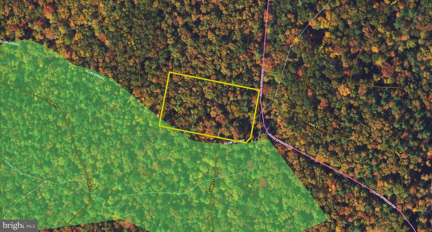 Alum Springs Road Basye, VA 22810 - Photo 63 of 63 a view of a yard with wooden fence