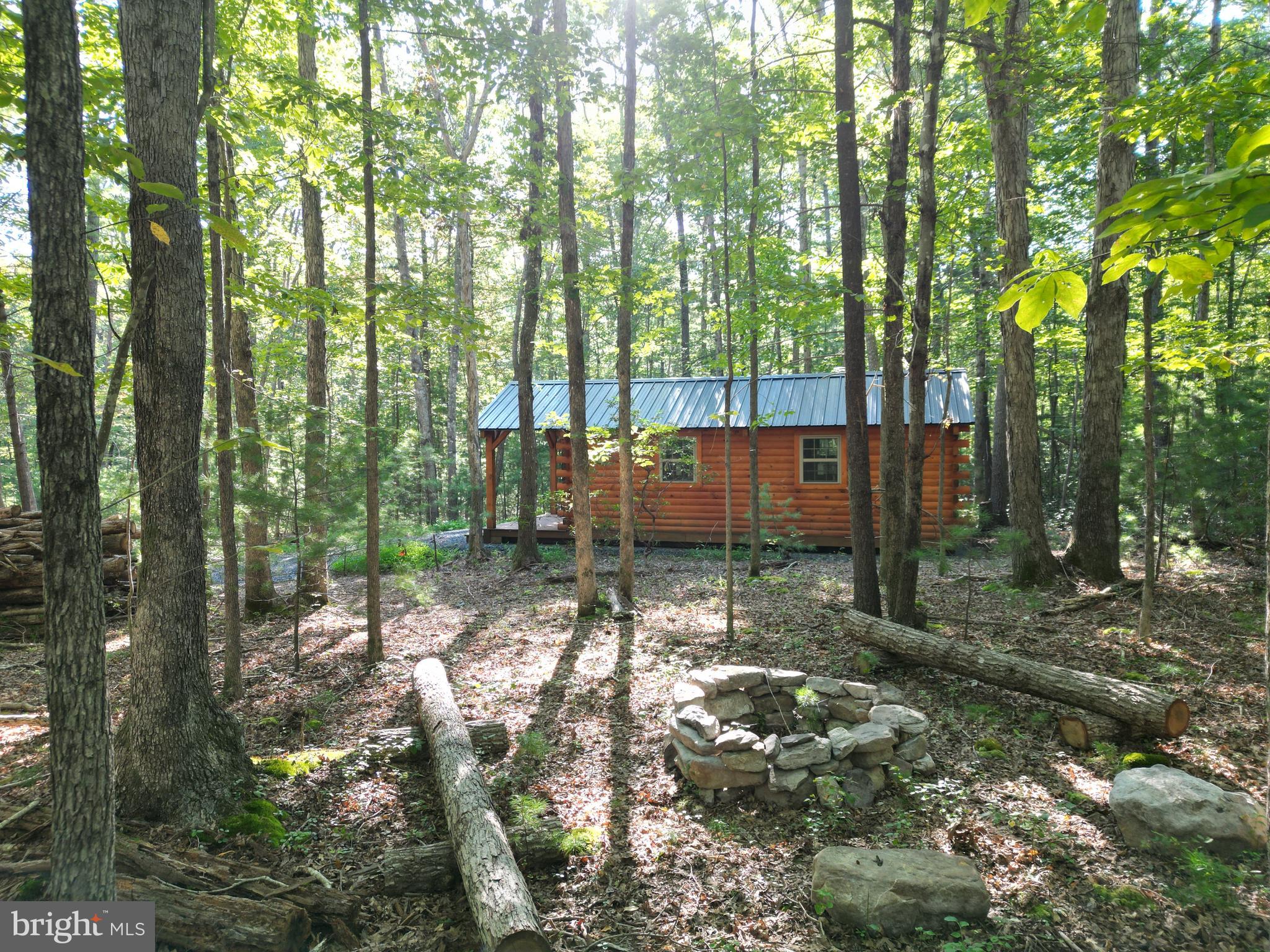 Alum Springs Road Basye, VA 22810 - Photo 7 of 63 a view of backyard with tree