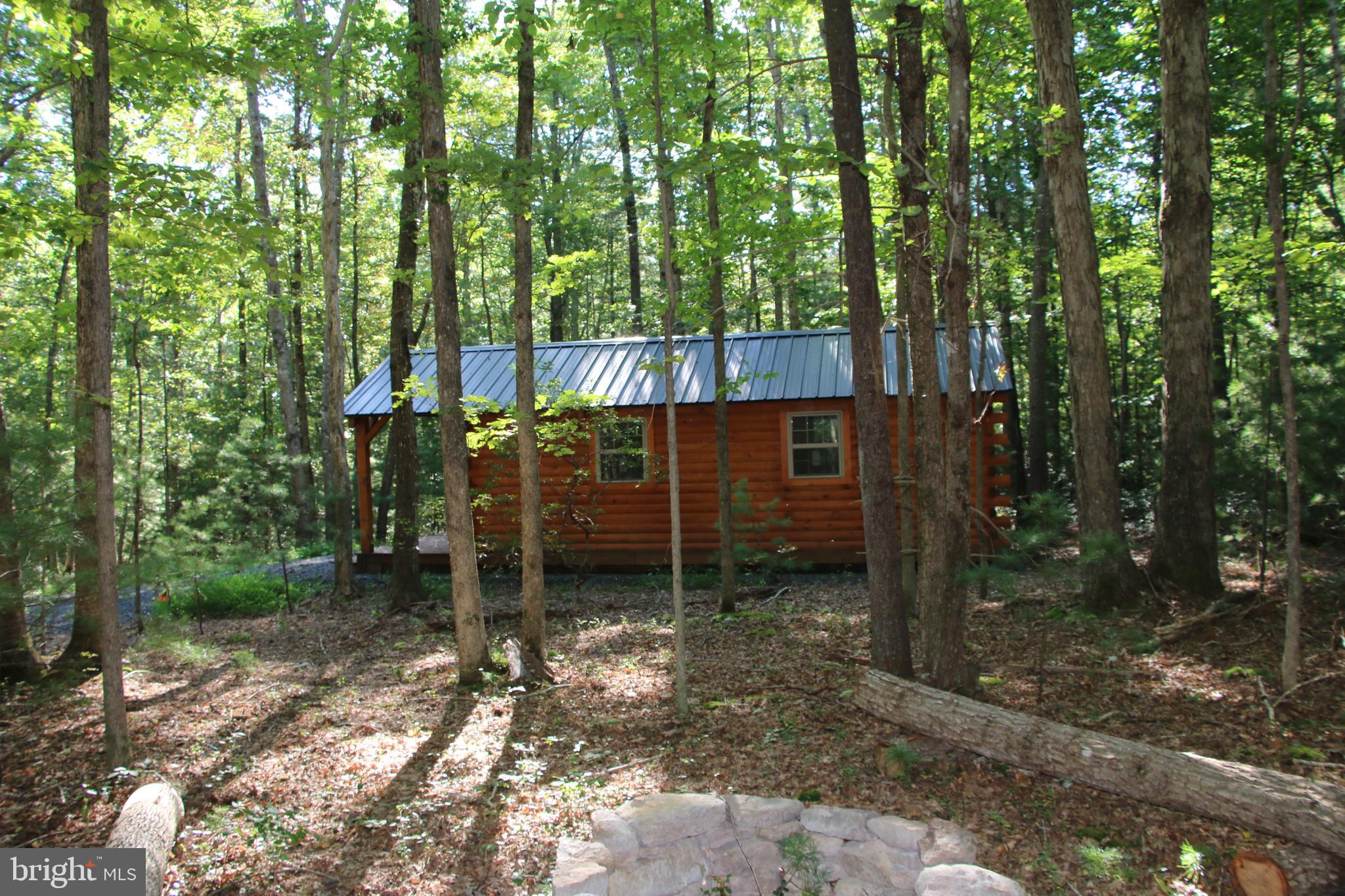 Alum Springs Road Basye, VA 22810 - Photo 8 of 63