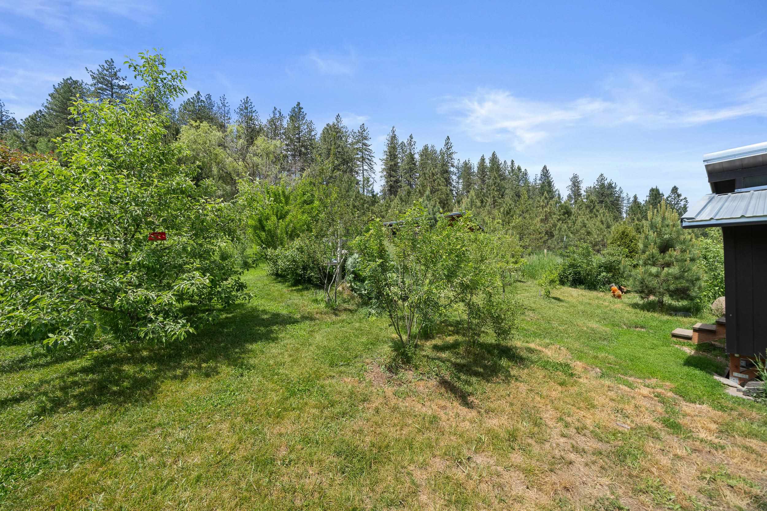 32626 North Milan Road Chattaroy, WA 99003 - Photo 50 of 50