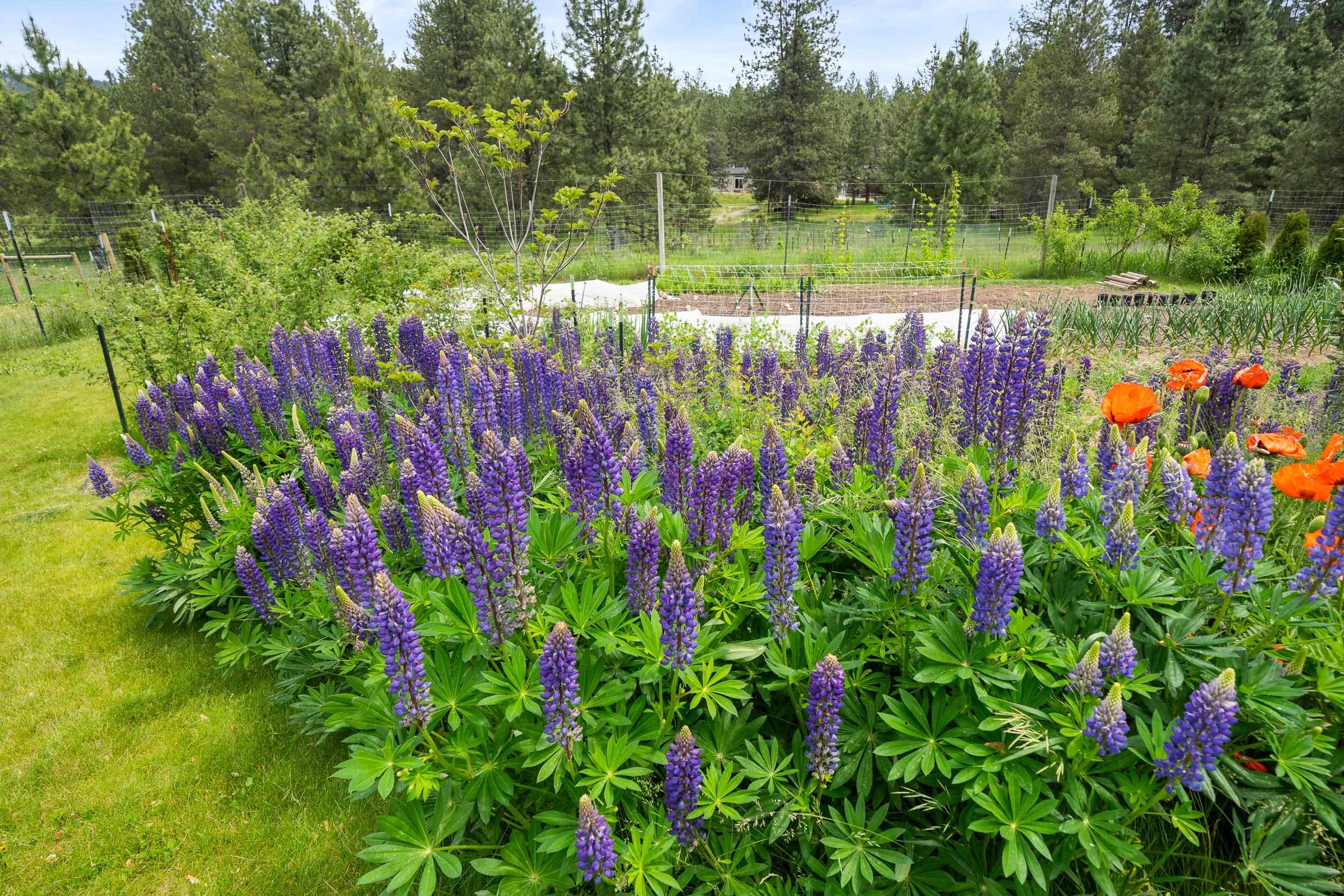 32626 North Milan Road Chattaroy, WA 99003 - Photo 7 of 50