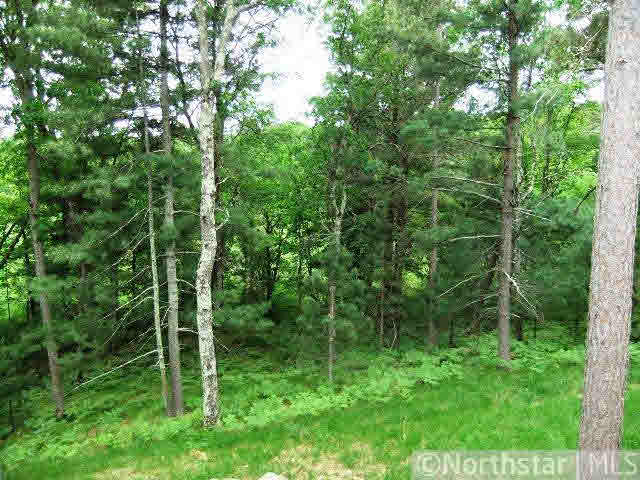 25741 Emerson Road Webster, WI 54893 - Photo 14 of 16