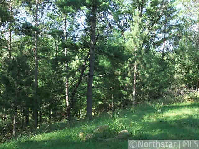 25741 Emerson Road Webster, WI 54893 - Photo 16 of 16