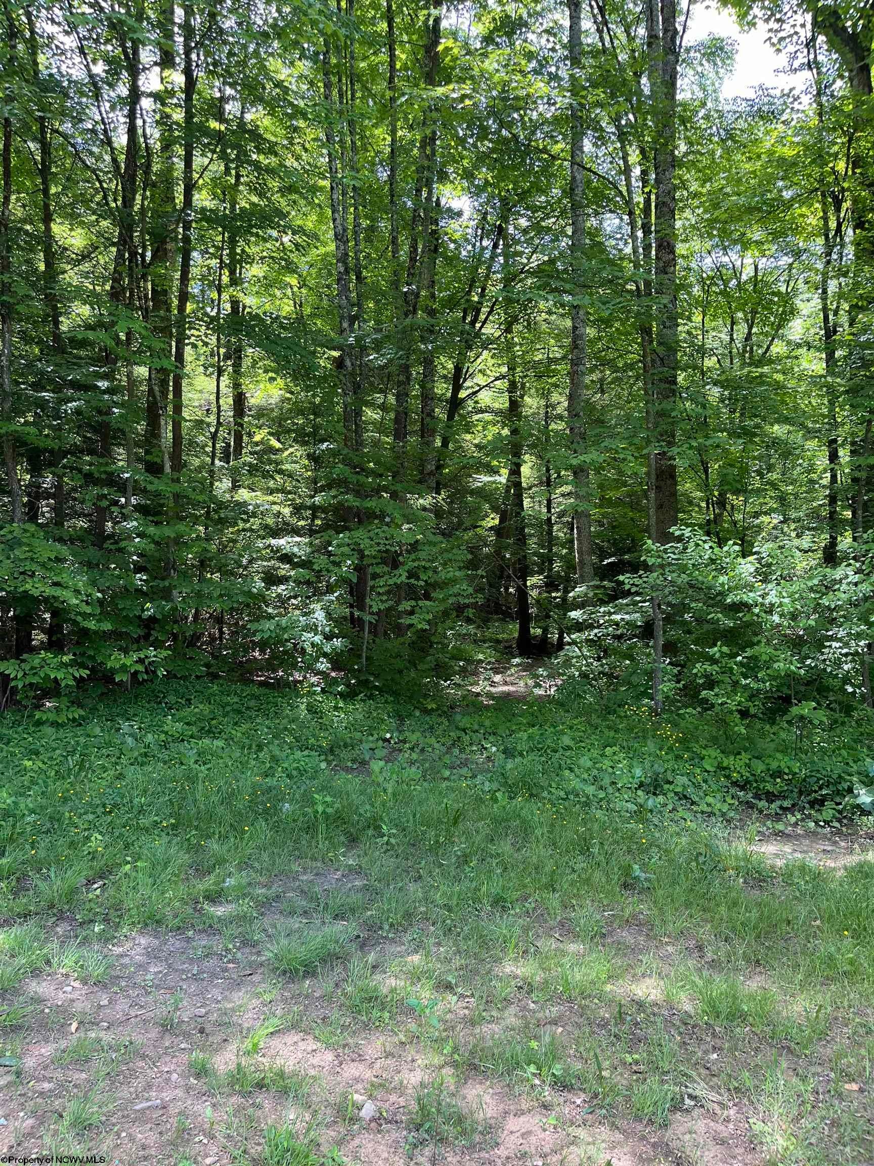 3485 Adolph Road Mill Creek, WV 26280 - Photo 11 of 26 Gallery Image 11