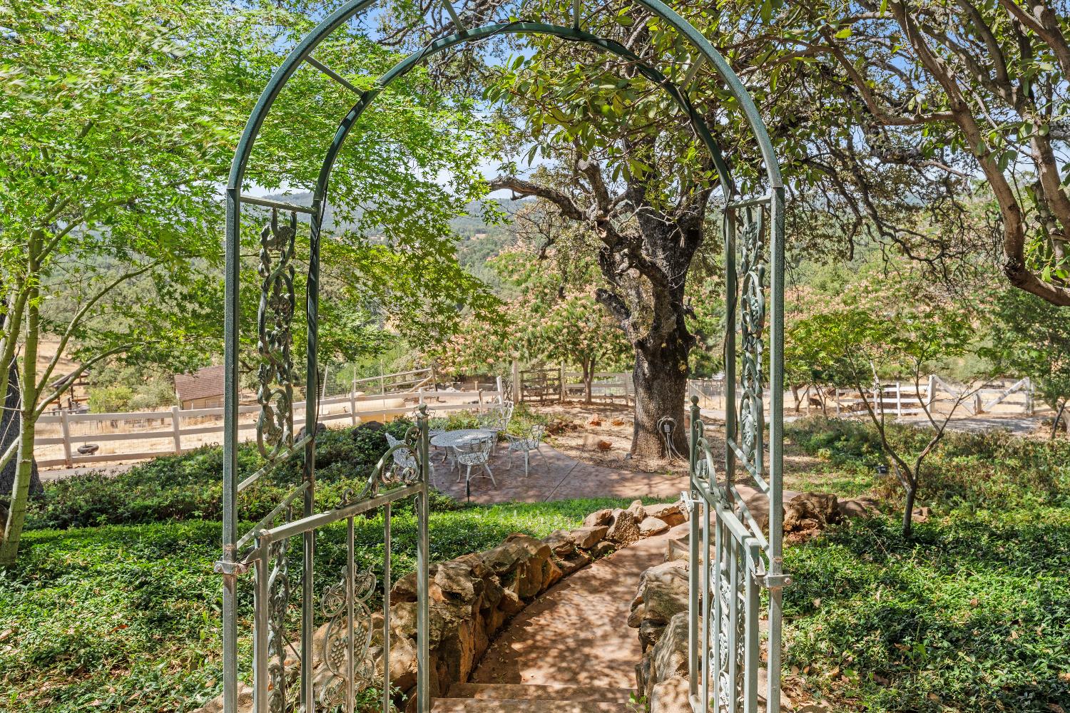 19699 McCourtney Road Grass Valley, CA 95949 - Photo 8 of 27 a view of a yard with plants and large trees