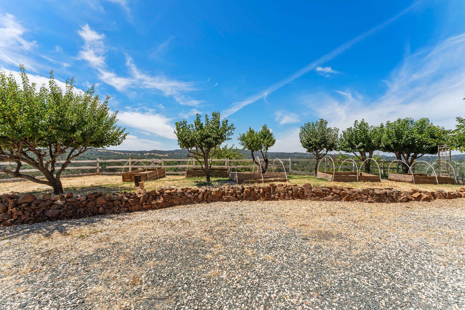 19699 McCourtney Road Grass Valley, CA 95949 - Photo 13 of 27 a view of a yard with a house