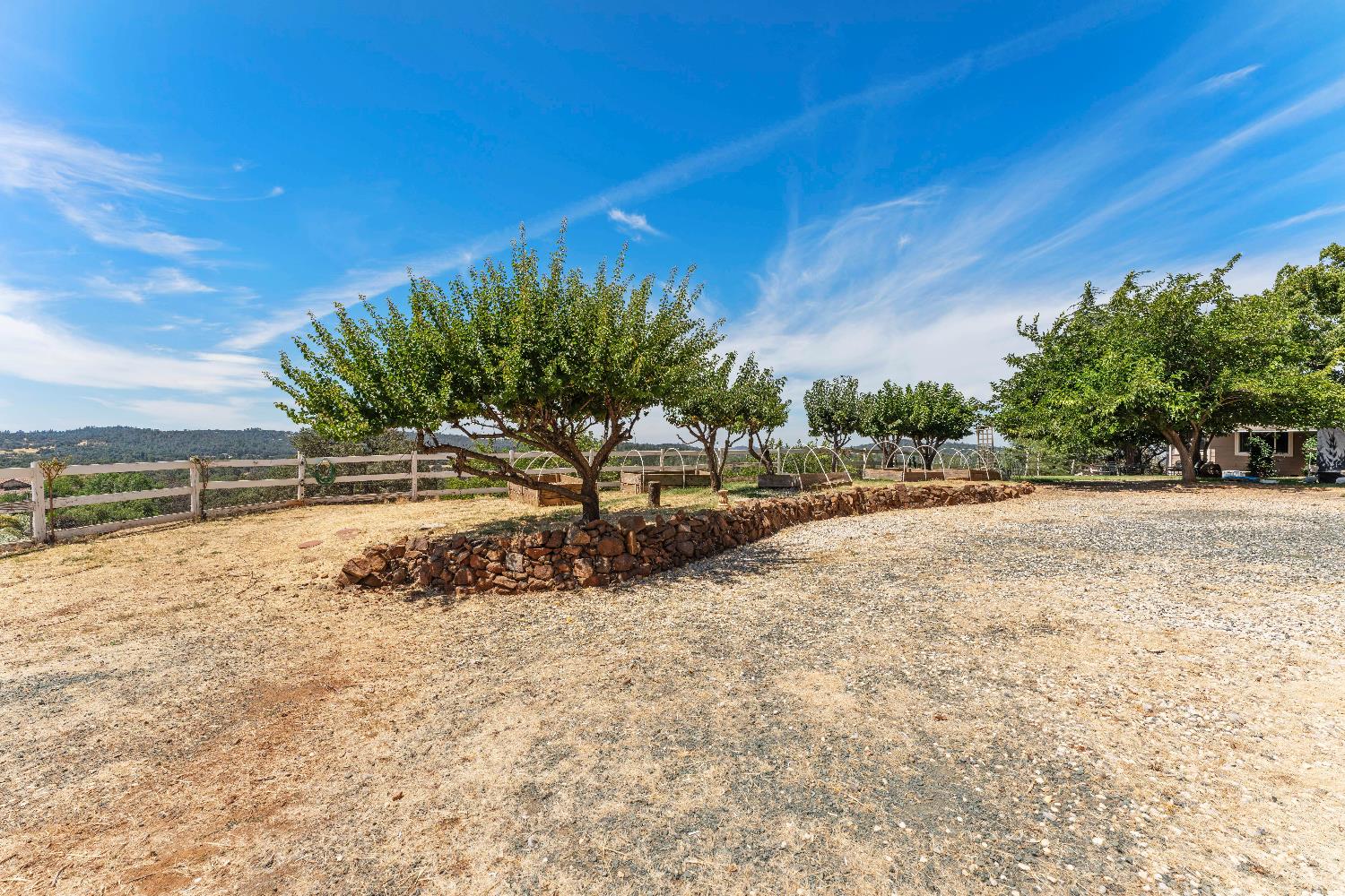 19699 McCourtney Road Grass Valley, CA 95949 - Photo 14 of 27 a view of a yard