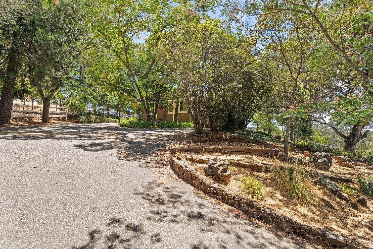 19699 McCourtney Road Grass Valley, CA 95949 - Photo 17 of 27 a view of a yard with a tree
