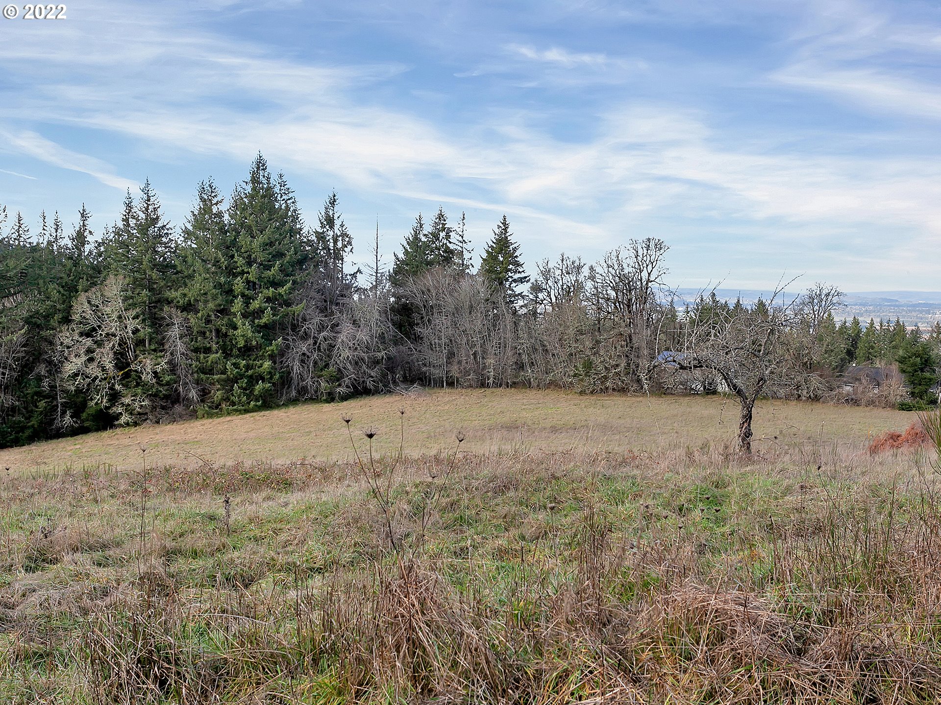 8501 Southeast 3 Trees Lane Amity, OR 97101 - Photo 11 of 28 View