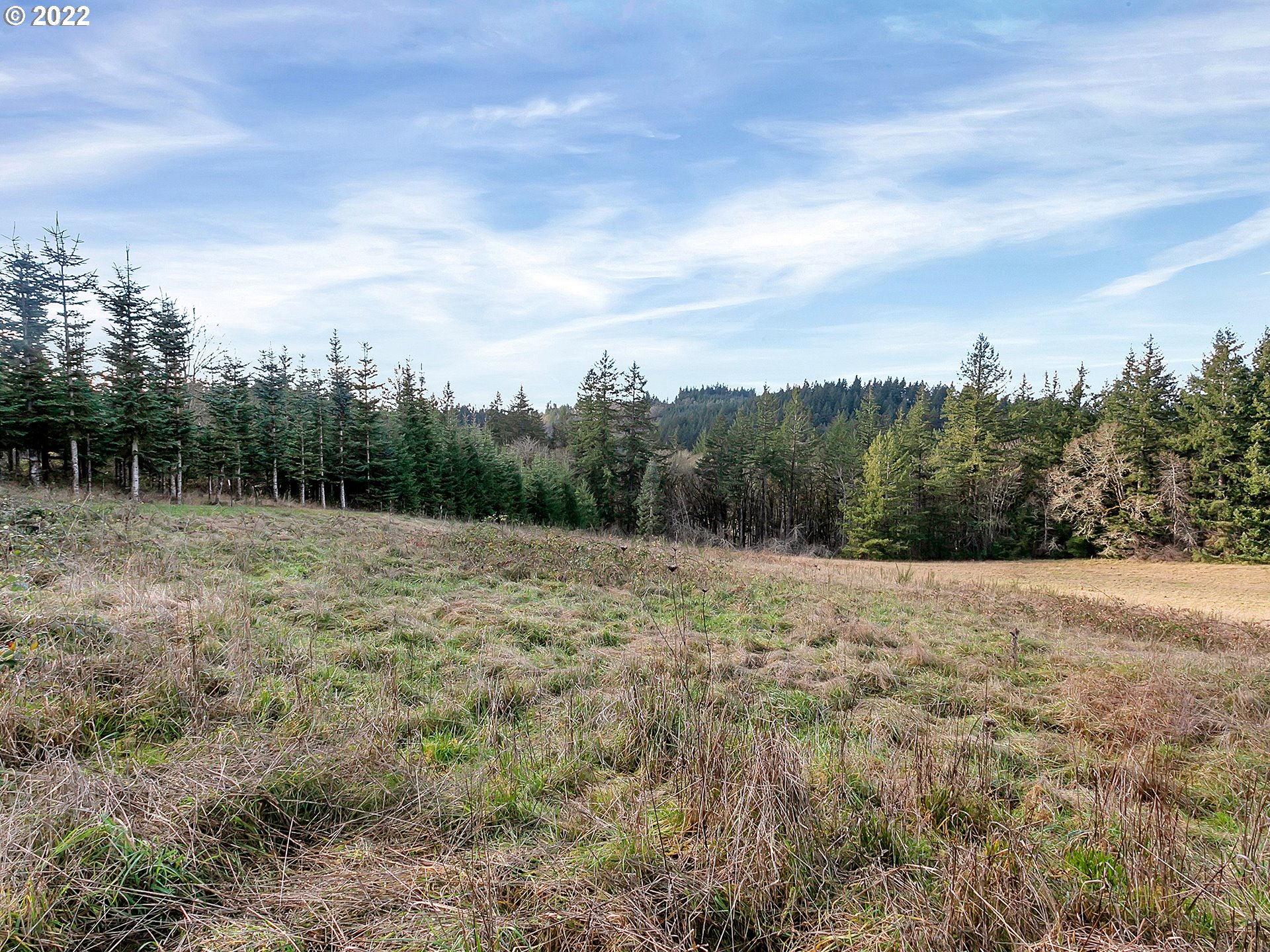 8501 Southeast 3 Trees Lane Amity, OR 97101 - Photo 12 of 28 View