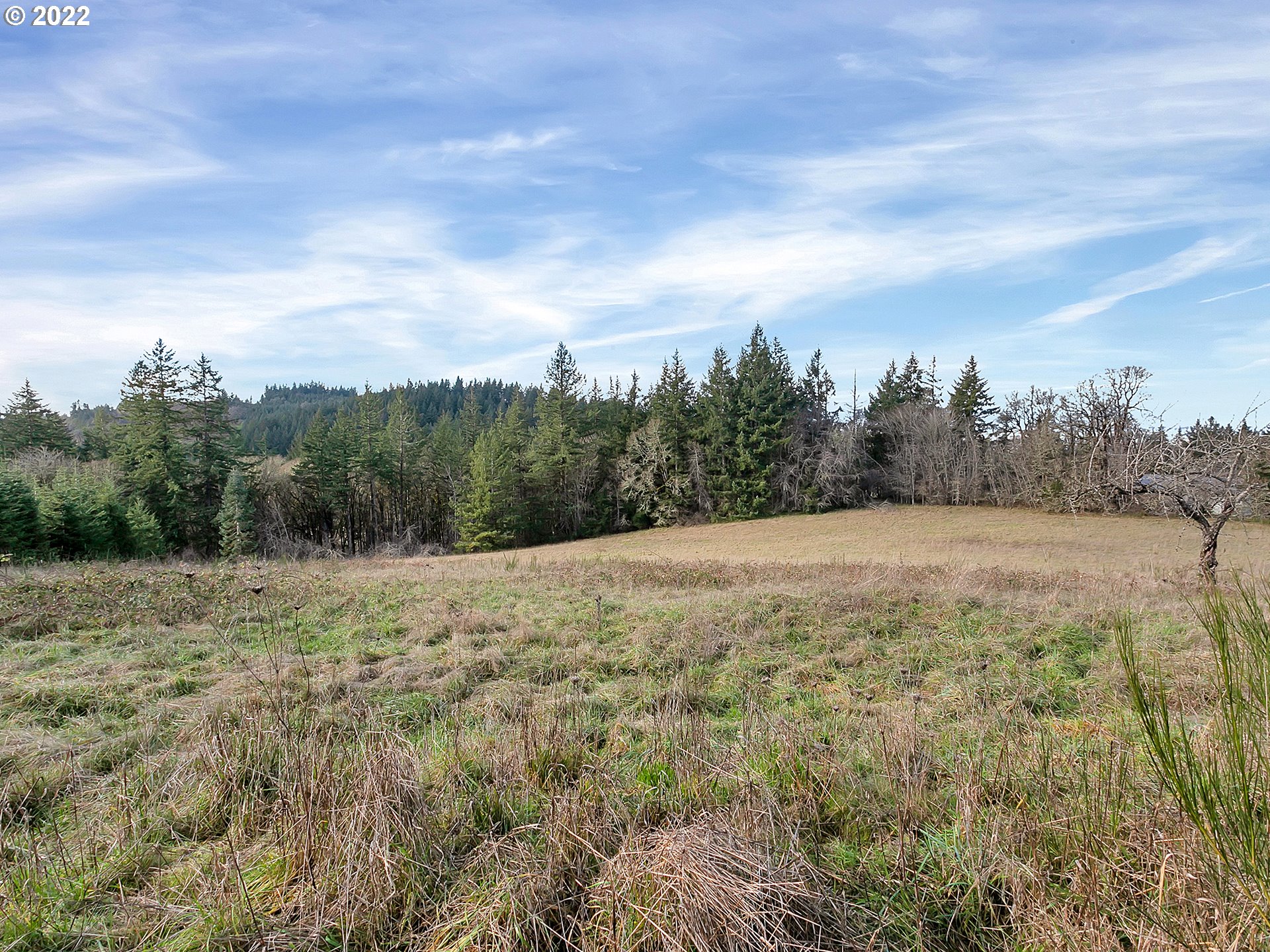 8501 Southeast 3 Trees Lane Amity, OR 97101 - Photo 18 of 28 View