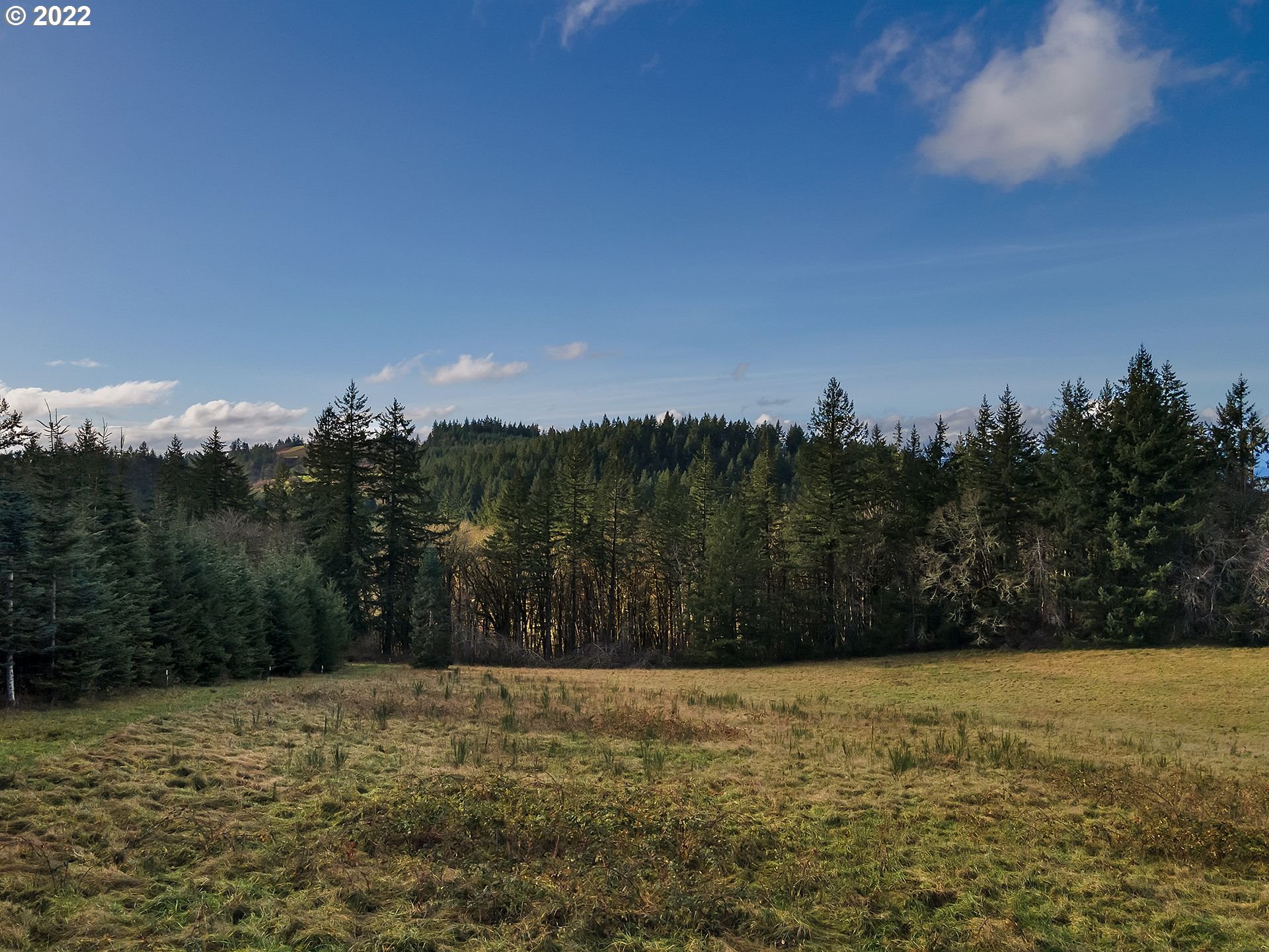 8501 Southeast 3 Trees Lane Amity, OR 97101 - Photo 20 of 28 View