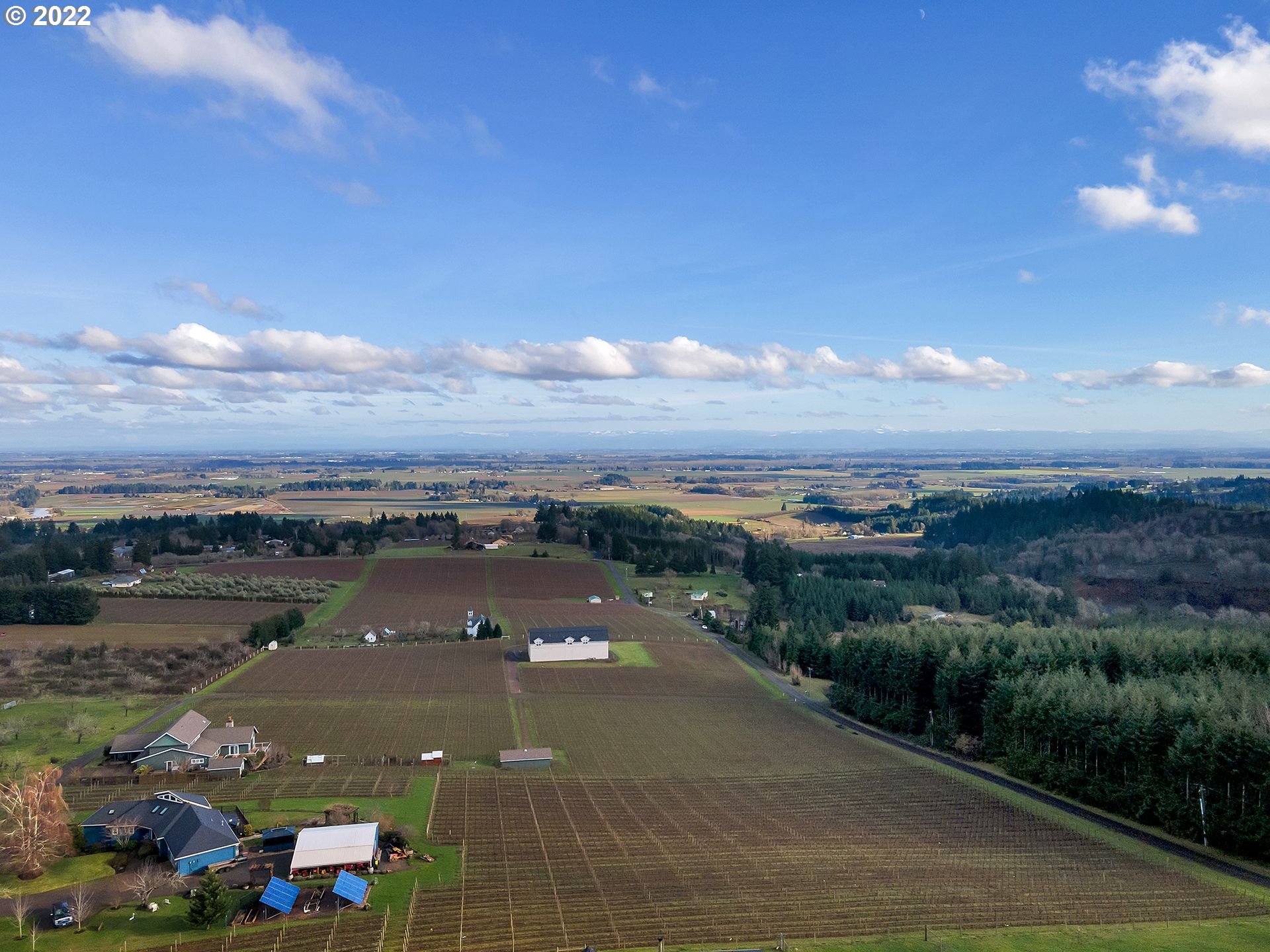 8501 Southeast 3 Trees Lane Amity, OR 97101 - Photo 21 of 28 Pasture