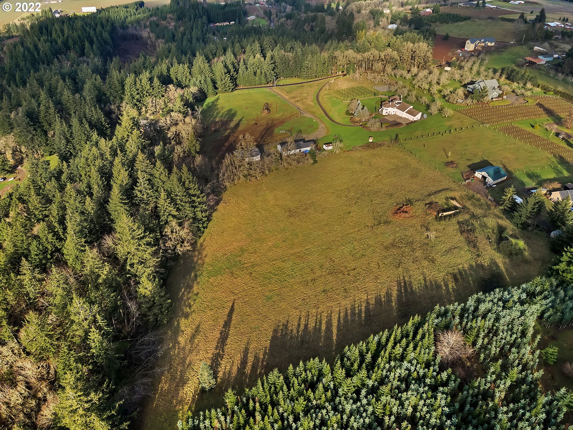 8501 Southeast 3 Trees Lane Amity, OR 97101 - Photo 23 of 28 Drone View/UAV
